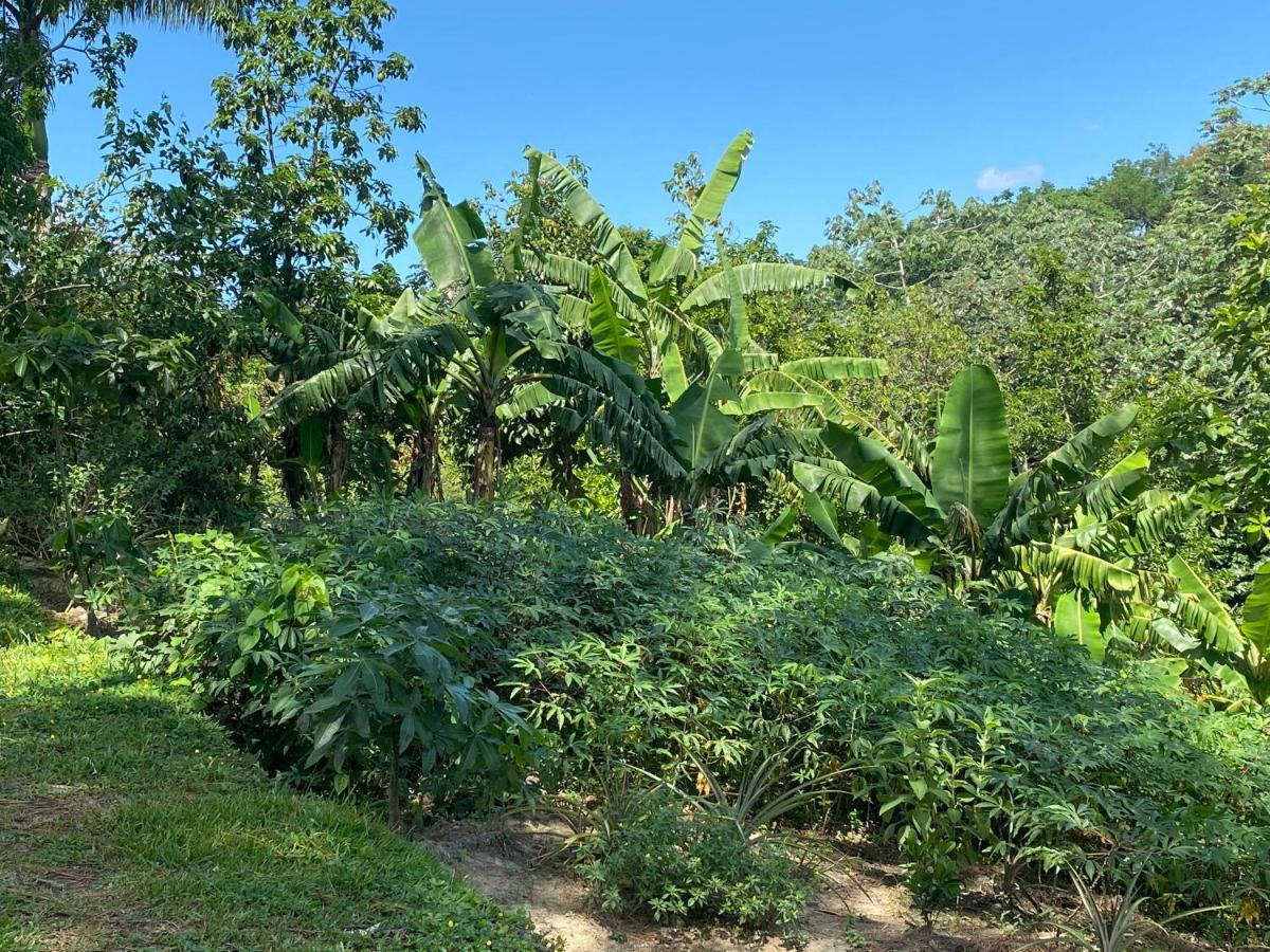 Gaestezimmer In Der Villa Zimmer Jarabacoa Luaran gambar